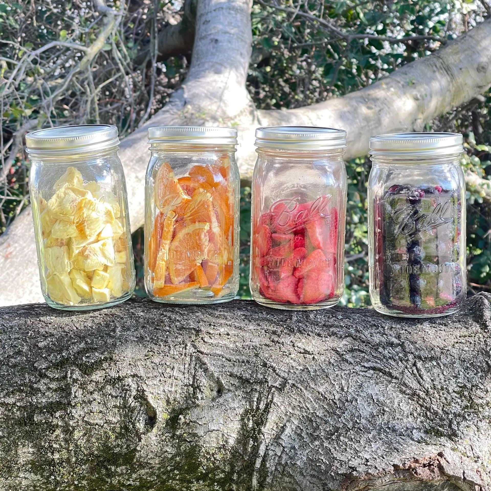 Crafted with nature’s finest ingredients. Freeze dried pineapple, orange slices, strawberry slices, and blueberries.