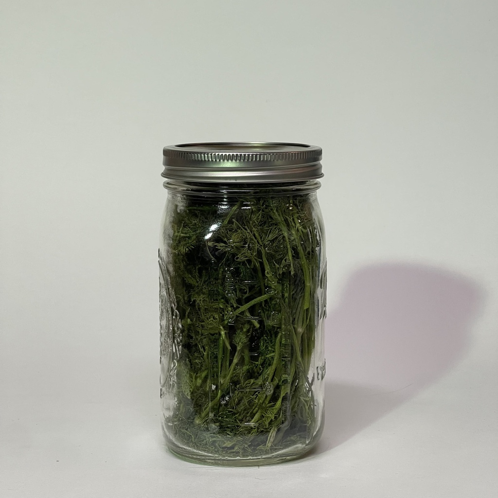 Beastly Freeze Dried Dill