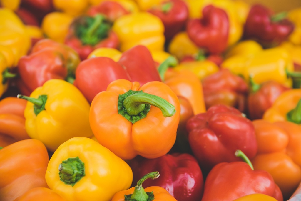 Beastly Freeze Dried Bell Peppers