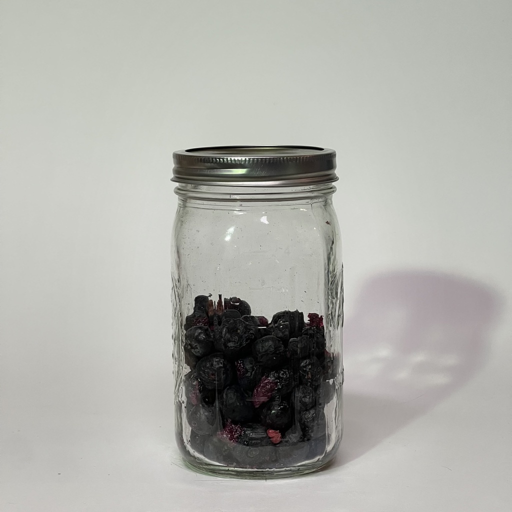 Beastly Freeze Dried Blueberries